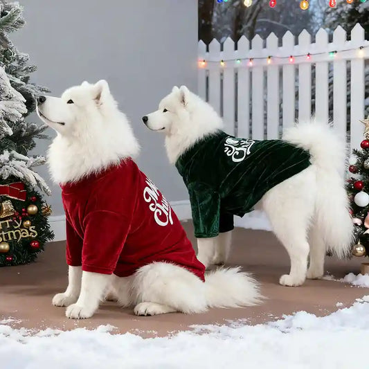 Maglia Natale Cani Merry Christmas Velluto Rosso Verde by Dog Moda