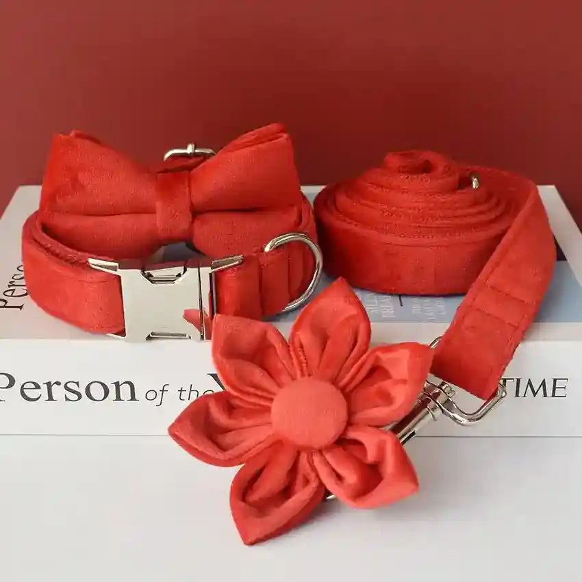 Set Collare e Guinzaglio per Cani in Velluto Rosso - Modello "Bouquet" by Dog Moda