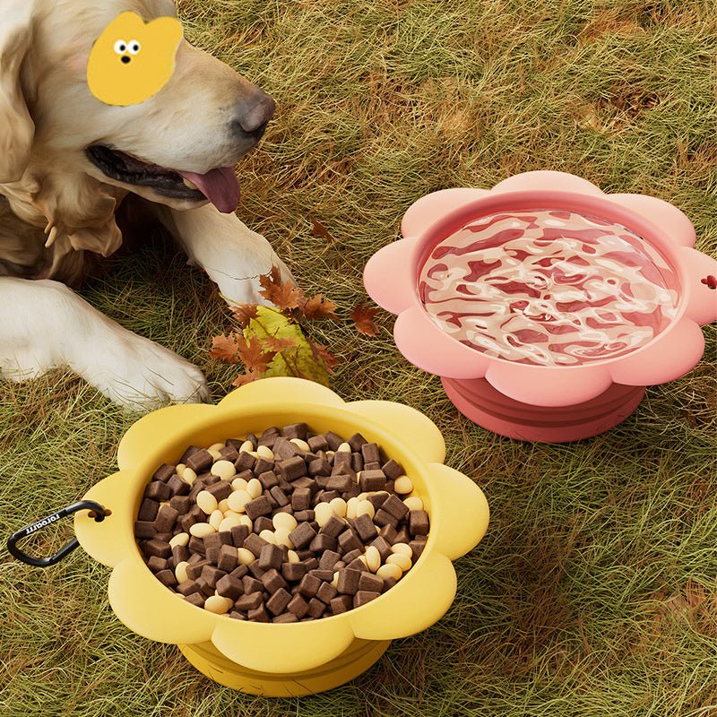 Ciotola Pieghevole per Cani in Silicone con Fantasia a Margherite - Ideale per Viaggi - Dog Moda