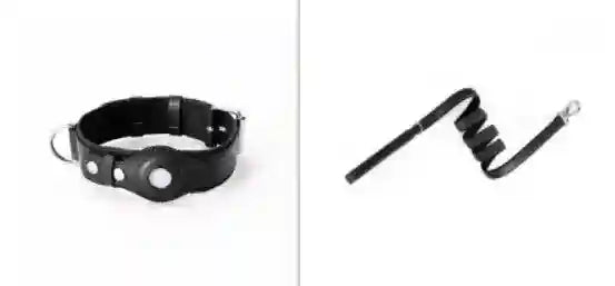 Collare "Track & Tail" con Alloggio per AirTag - Dog Moda
