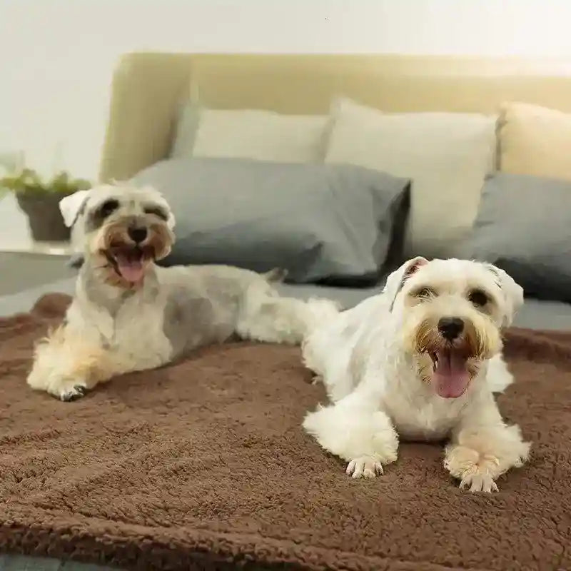 Copertina leggera e calda in morbido pile per cani - Dog Moda