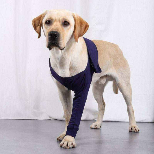 Copri fasciatura per zampe anteriori del cane - Dog Moda