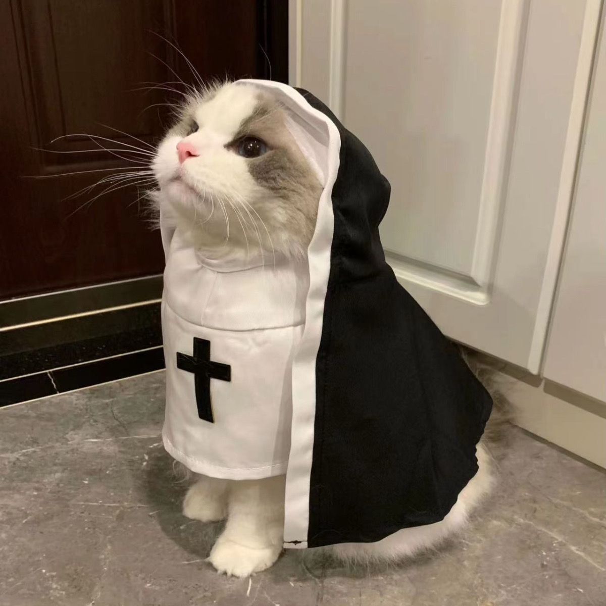 Costume da Suora per Cani e gatti - Modello "PET SHOW" Speciale Halloween - Dog Moda