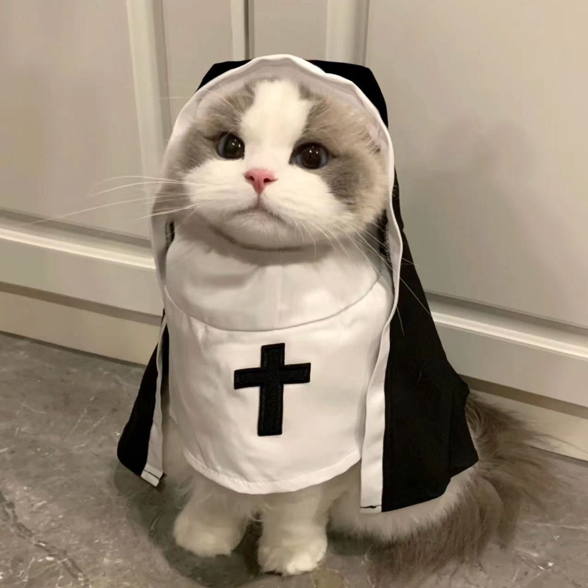 Costume da Suora per Cani e gatti - Modello "PET SHOW" Speciale Halloween - Dog Moda