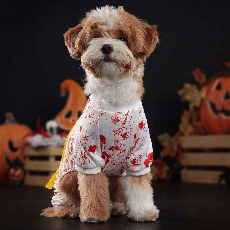 Small fluffy dog wearing a white Halloween costume with red blood splatter and a yellow 'Do Not Enter' sash, pumpkins in background