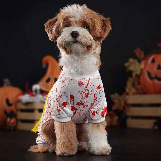 Small fluffy dog wearing a white Halloween costume with red blood splatter and a yellow 'Do Not Enter' sash, pumpkins in background
