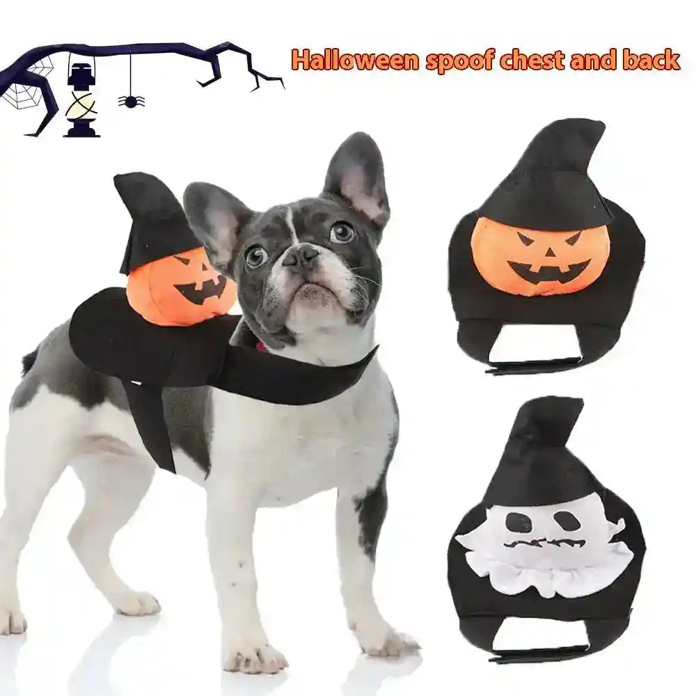 Amazon Cane Vestito Da Zucca Vestito Da Cane Costume Di Halloween