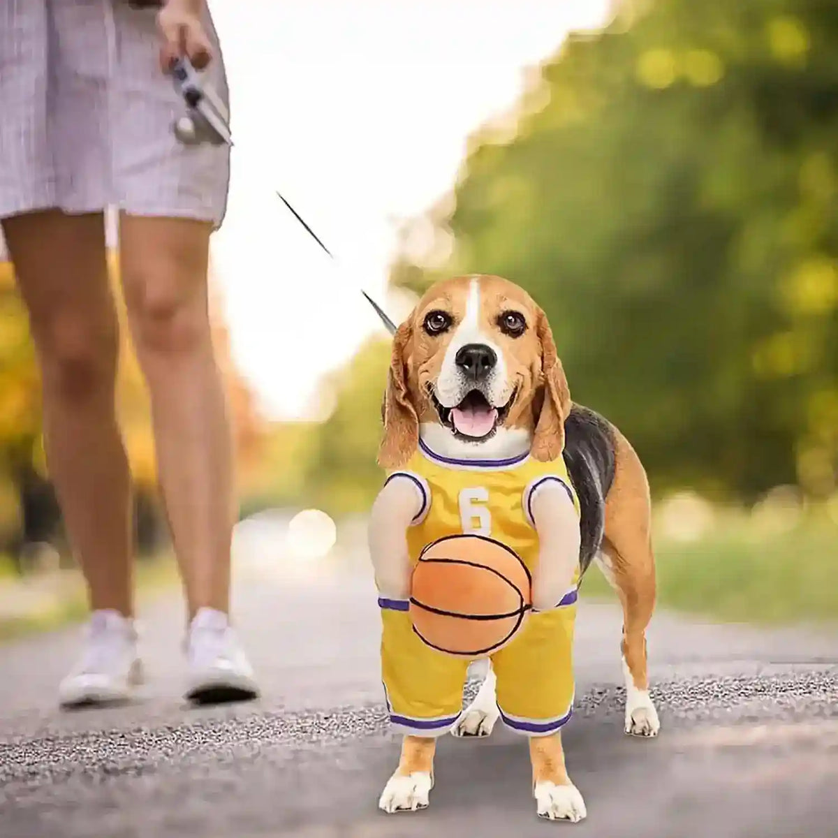 Costume per Cani Modello "Basket" - Dog Moda