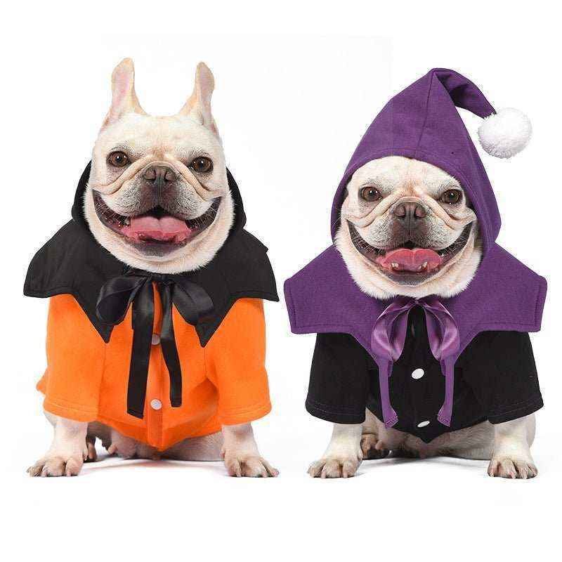 Two French bulldogs wearing Halloween costumes, one in orange with black cape and one in black with purple hood