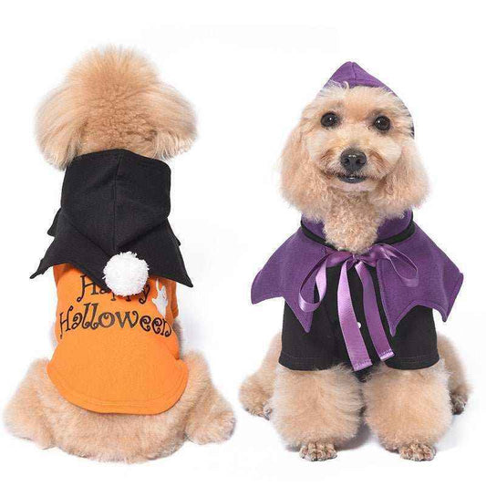 Small fluffy dog wearing Halloween costume with black hood and orange shirt reading Happy Halloween, front and back views