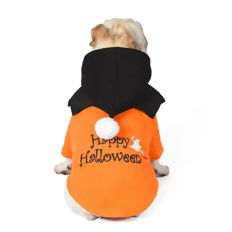 Small dog wearing orange Halloween costume with 'Happy Halloween' text, black hood, and white pom-pom