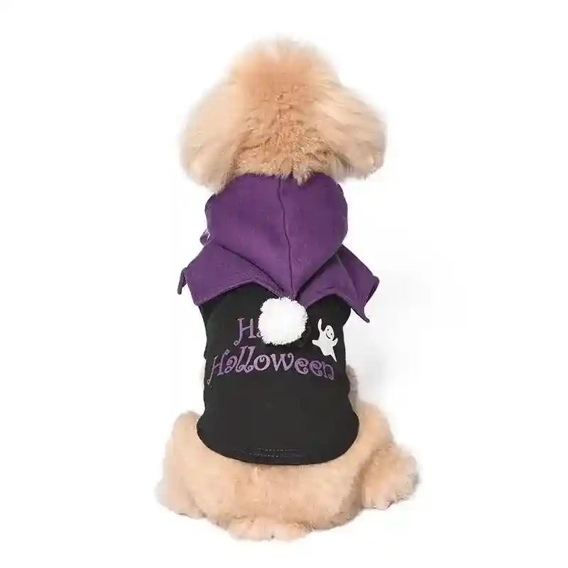 Small dog wearing black Halloween costume with purple hood and white pom-pom, ghost design