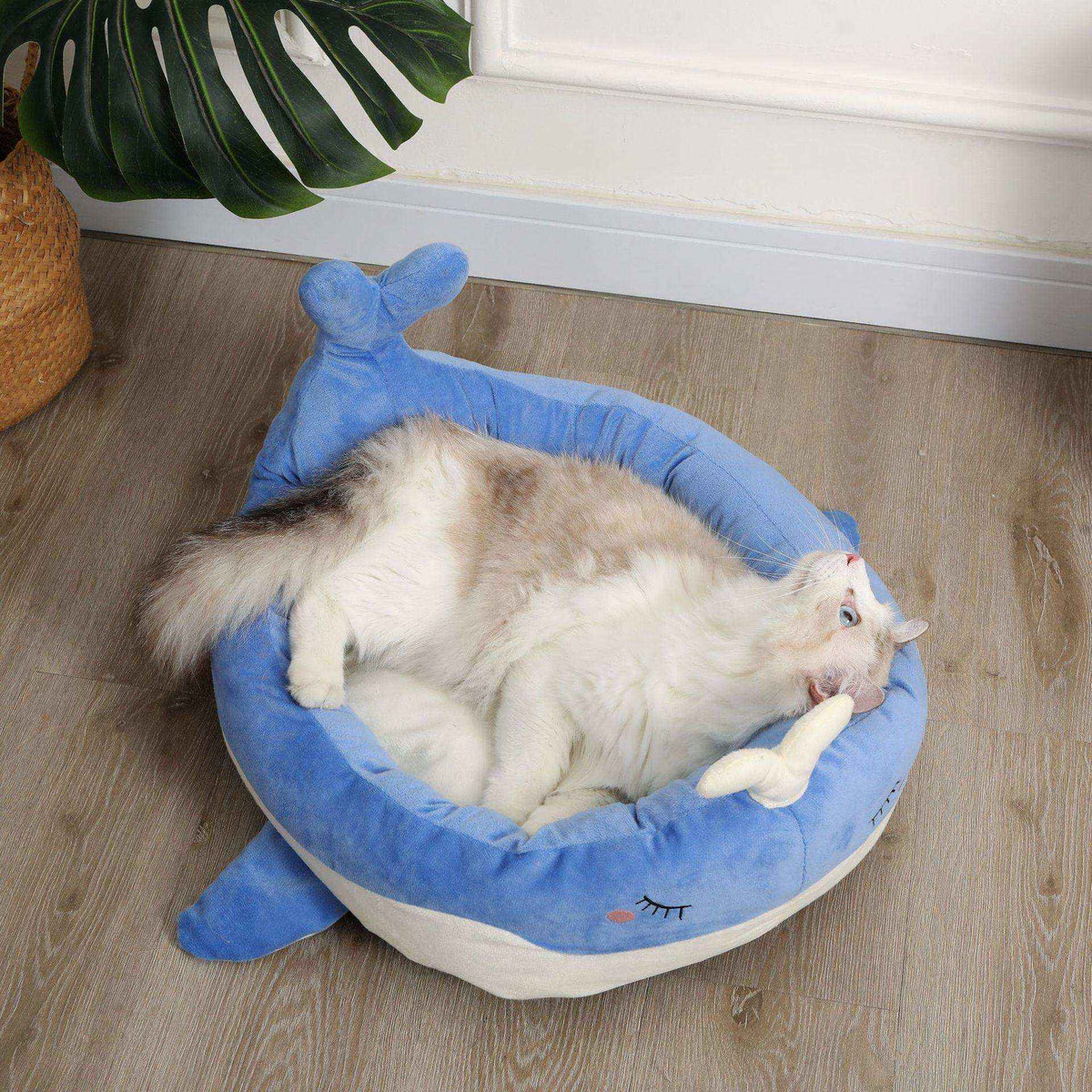 Cuccia per Gatti e cani a Forma di Papera o Balena – Comodità e Stile - Dog Moda
