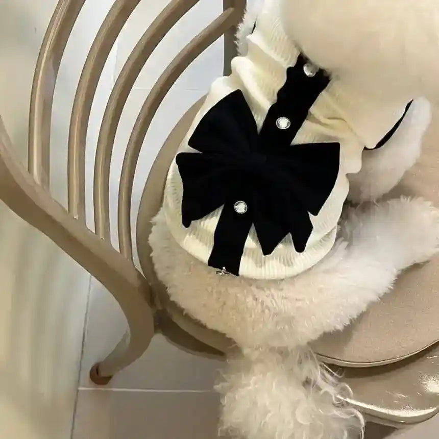 Small white dog wearing cream sweater with black bow and rhinestone accents sitting on beige chair