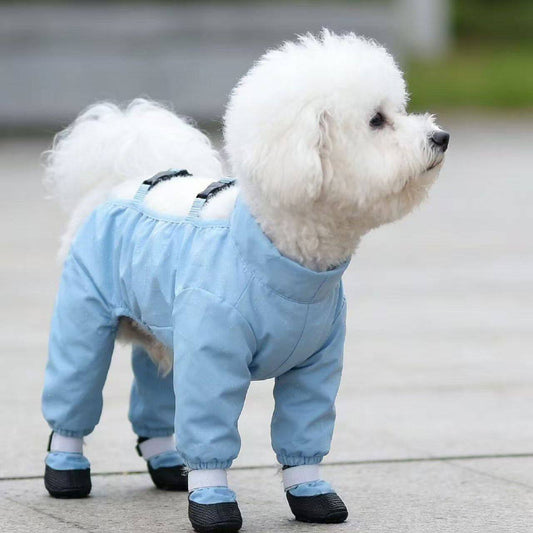 Pantaloni antisporco per cani a 4 zampe - foto 2