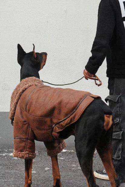 Giacca Jeans per Cani con Collo in Pile - Caldo e Stiloso by null