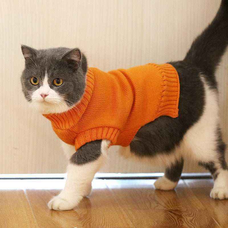 Maglione per Gatti – Morbido, Caldo e Disponibile in Tante Fantasie by Dog Moda