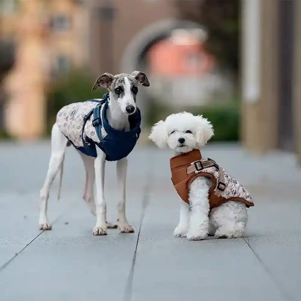Cappotto Cani Vpetr Imbottito Pile con Pettorina by Dog Moda