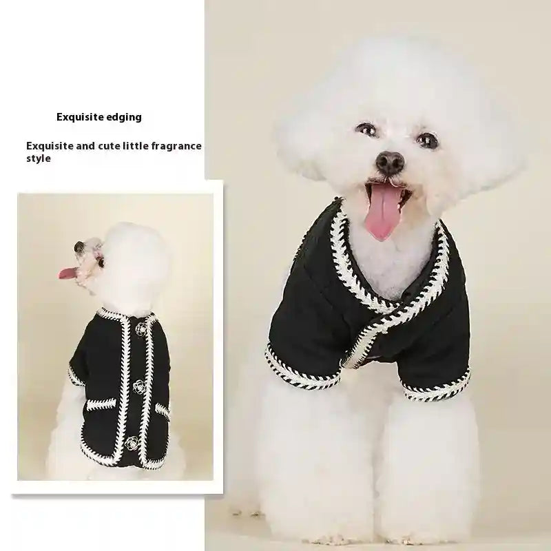 White poodle wearing a black and white trim quilted dog jacket, tongue out, beige background