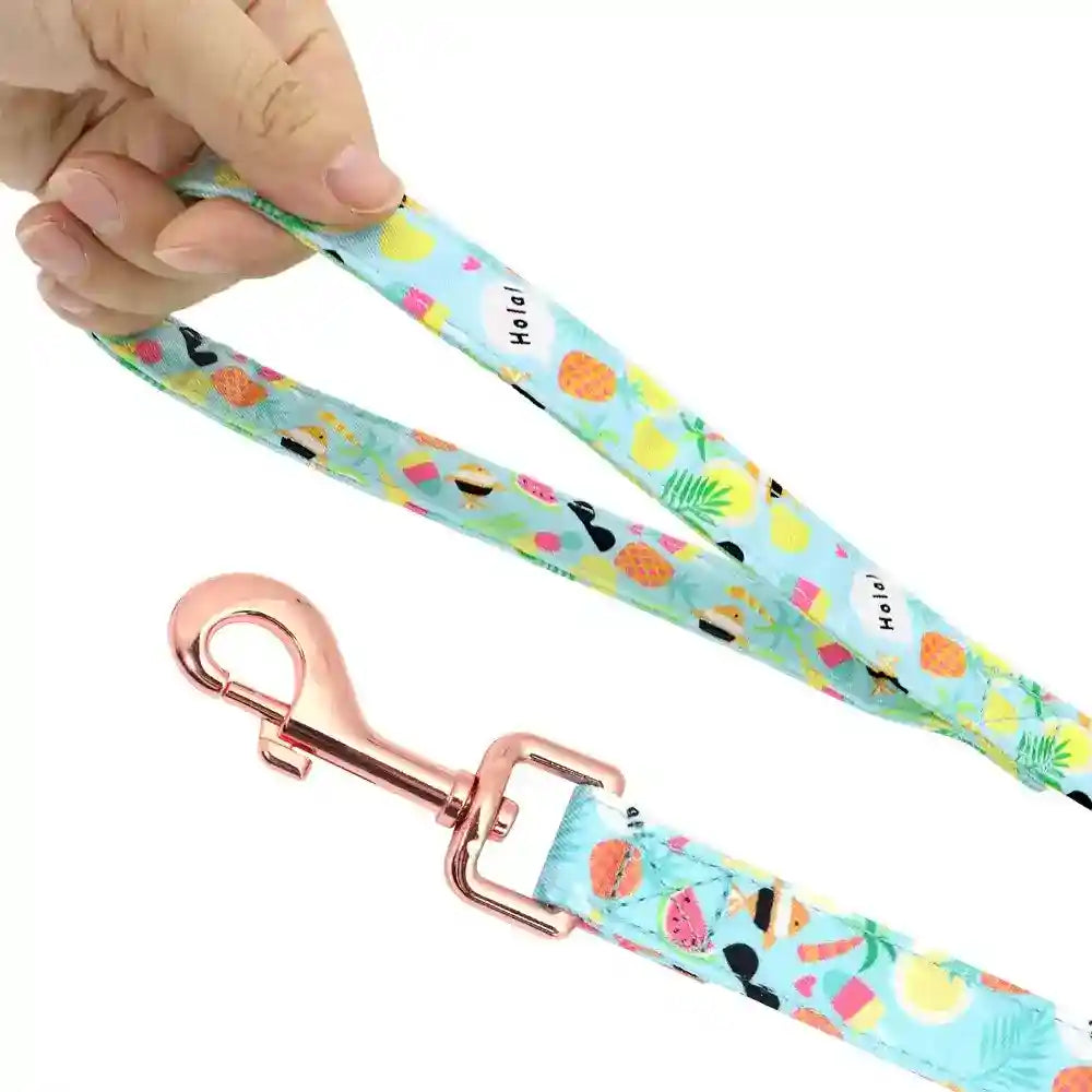 Pettorina per cani "Summer" set completo con collare - Cheepet by Dog Moda