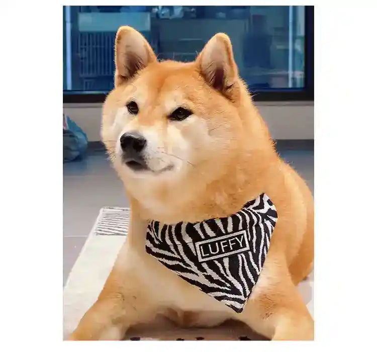 Bandana Personalizzata per Cani con Nome Fantasia Zebrata by Dog Moda