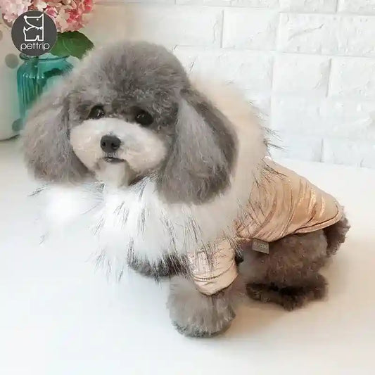 Piumino per cani con cappuccio ecopelliccia "Neve" – Protezione e Stile per l'Inverno by Dog Moda