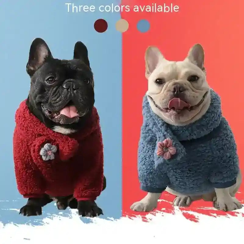 Two French Bulldogs wearing cozy fleece dog sweaters in red and blue with flower decoration