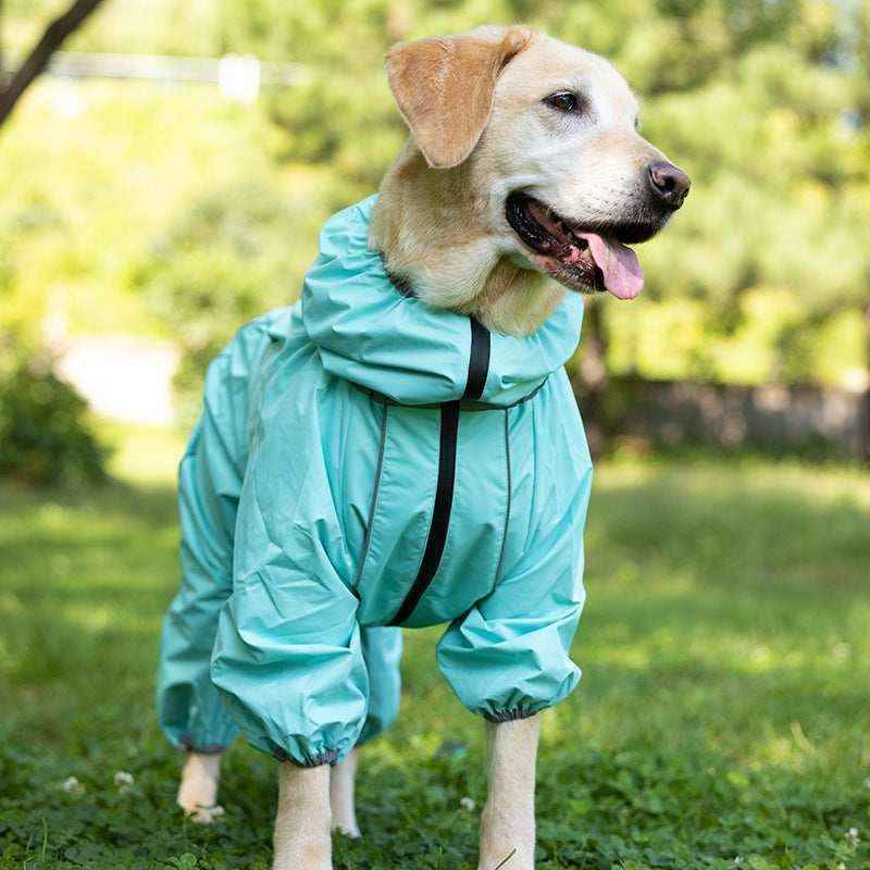 Yellow Labrador dog wearing light blue waterproof raincoat standing on grass outdoors