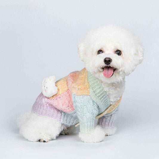 Small white fluffy dog wearing pastel multicolor knitted sweater sitting on white background