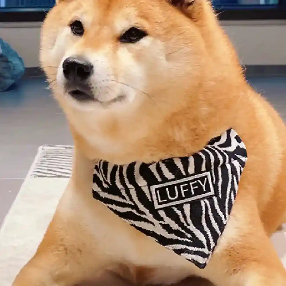 Bandana Personalizzata per Cani con Nome Fantasia Zebrata by Dog Moda