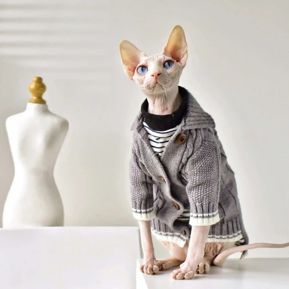 Maglione Elegante per Gatti Sphynx – Stile e Comfort per Ogni Stagione by Dog Moda