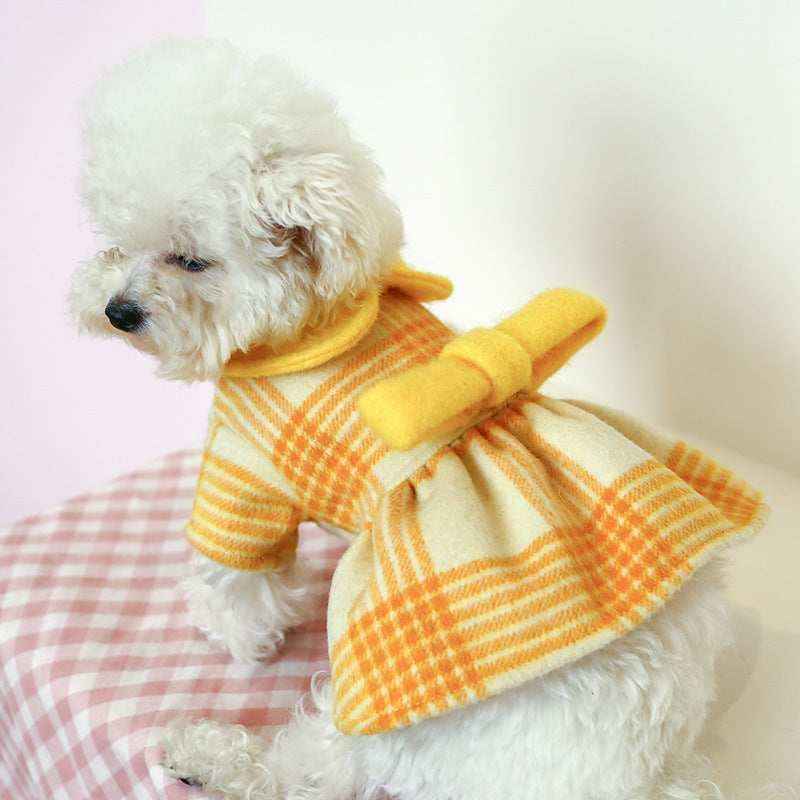 Cagnolina con vestito "Montpellier" giallo e colletto a quadri.