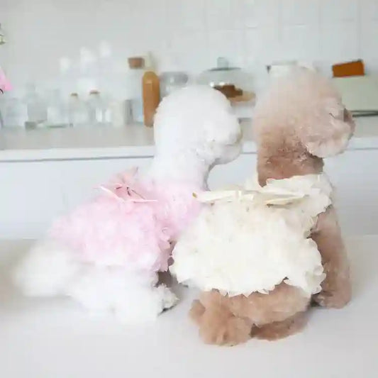 Two small dogs wearing floral fabric dresses with bows, sitting on a white surface in a bright kitchen