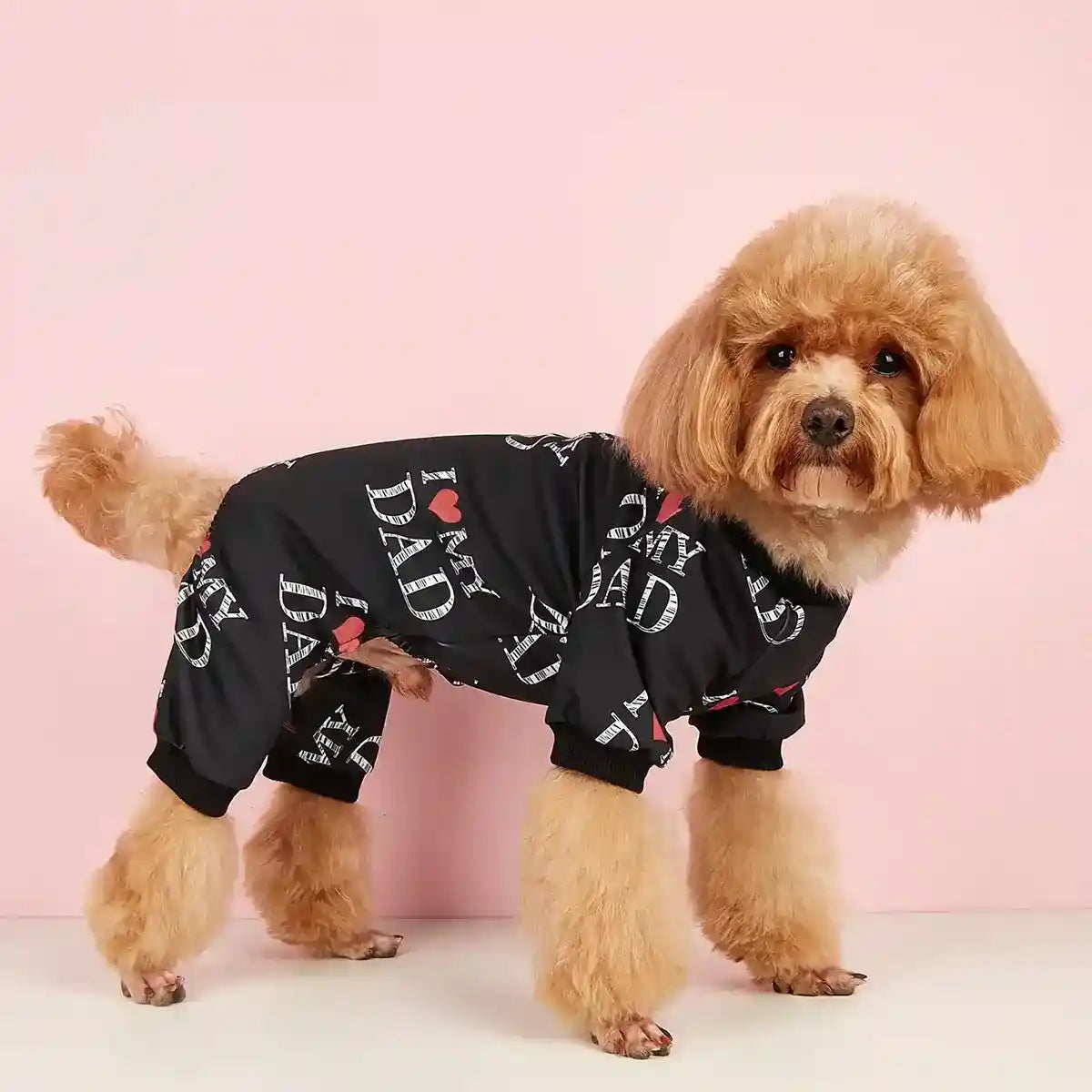 Small brown poodle in black outfit with I love my dad print against pink background