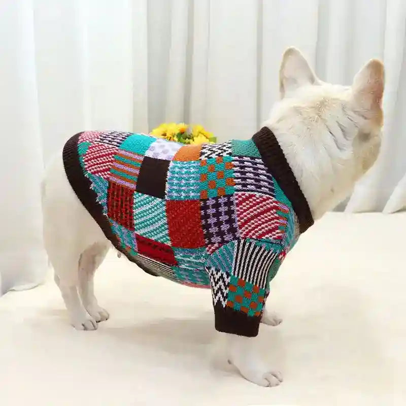 Maglione per Bulldog "Wool" in Lana – Caldo e Stile Contrasto by Dog Moda