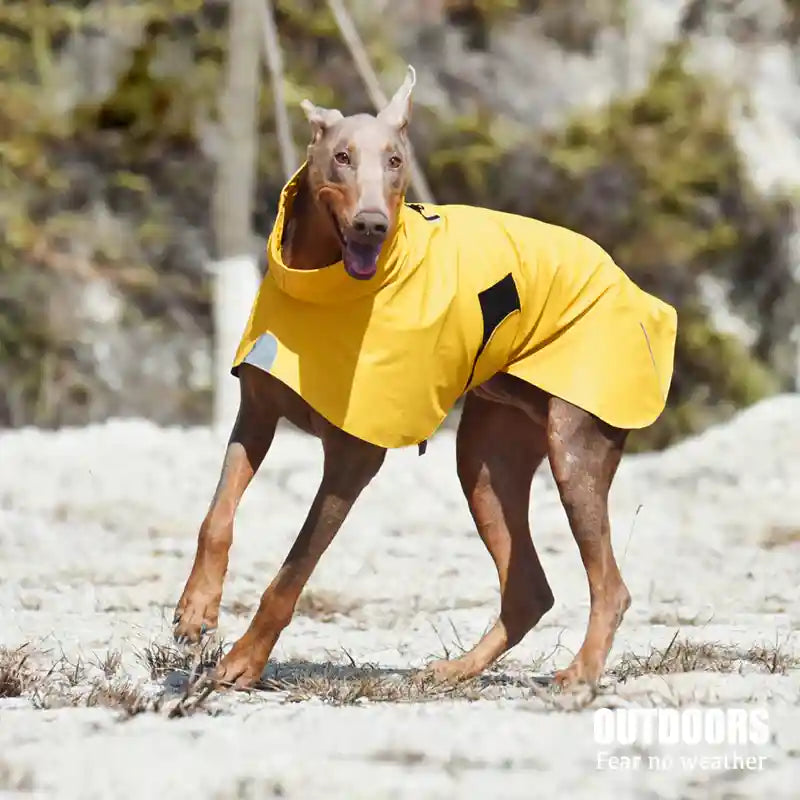 Impermeabile Cani V-Camp - K-Way Antipioggia Collo Alto by Dog Moda