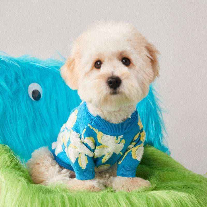 Maglioncino in Lana "Blue Blossom" – Eleganza Floreale per il Tuo Cane - Dog Moda