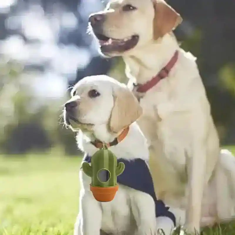 two yellow Labrador dogs sitting outdoors with a cactus-shaped dog waste bag dispenser