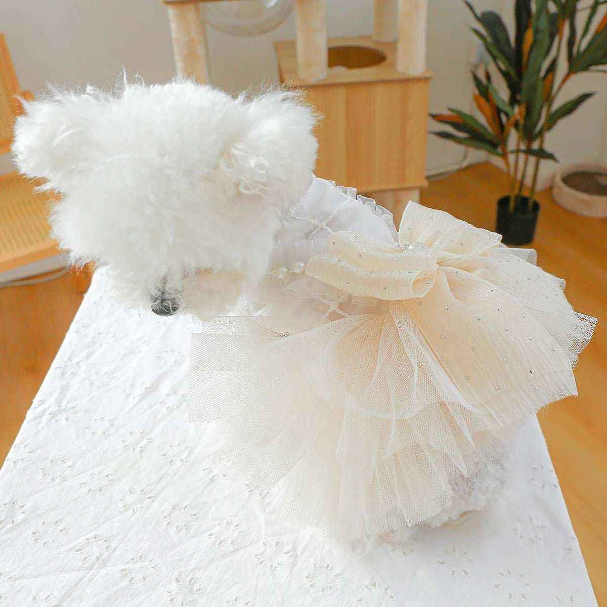 Dog Clothing Tulle Tutu Skirt Chest And Back High - end Wedding Dress - Dog Moda