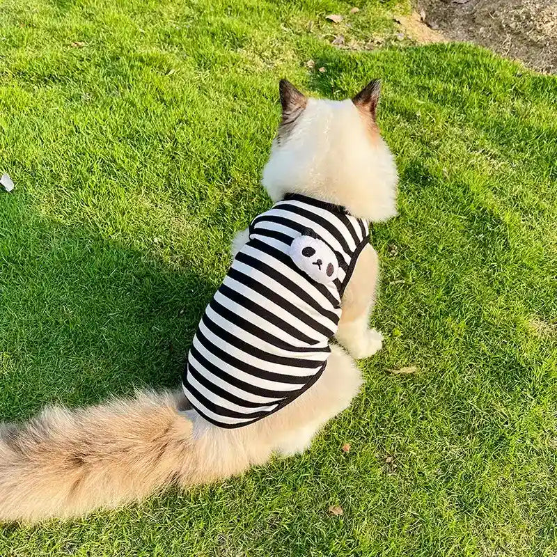Maglia in cotone per gatti a righe con panda o rana | DogModa by Dog Moda