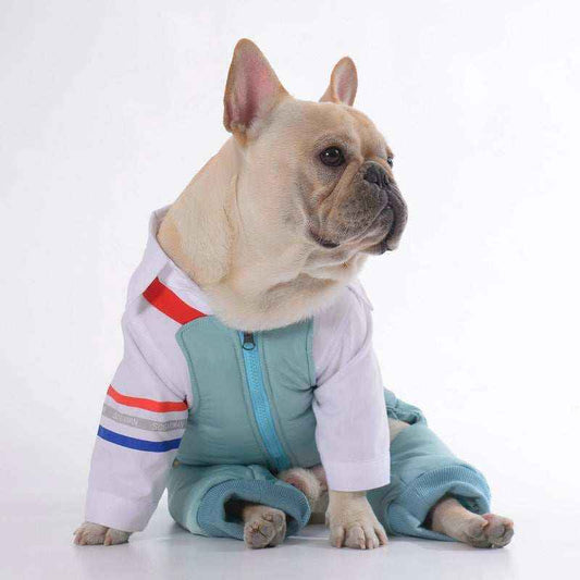 "Skypass" Dog Overalls with Elastic Straps and Padded Part