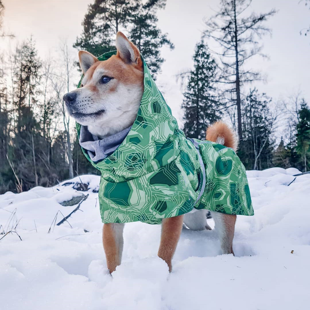 Cappotto trapuntato per cani "North Ice" – Protezione termica per le escursioni invernali