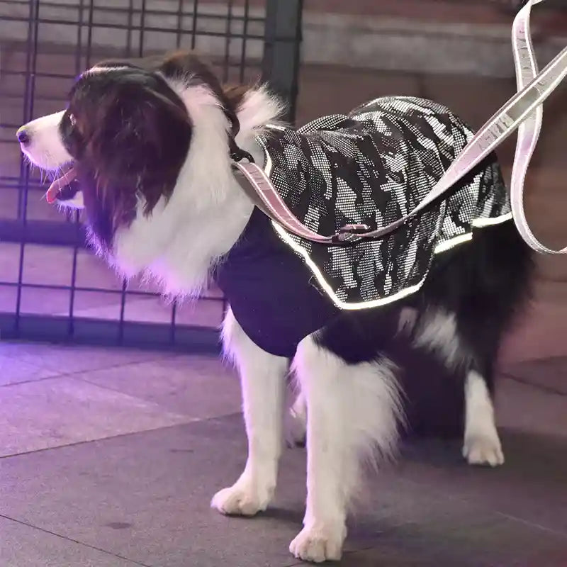 Cappotto Cani Riflettente Tecnico Invernale - Sicurezza by Dog Moda
