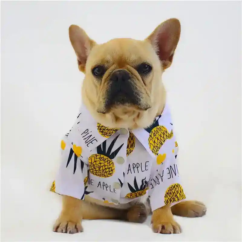 Vestito per cani e Bulldog "Cosmopolitan" by Dog Moda