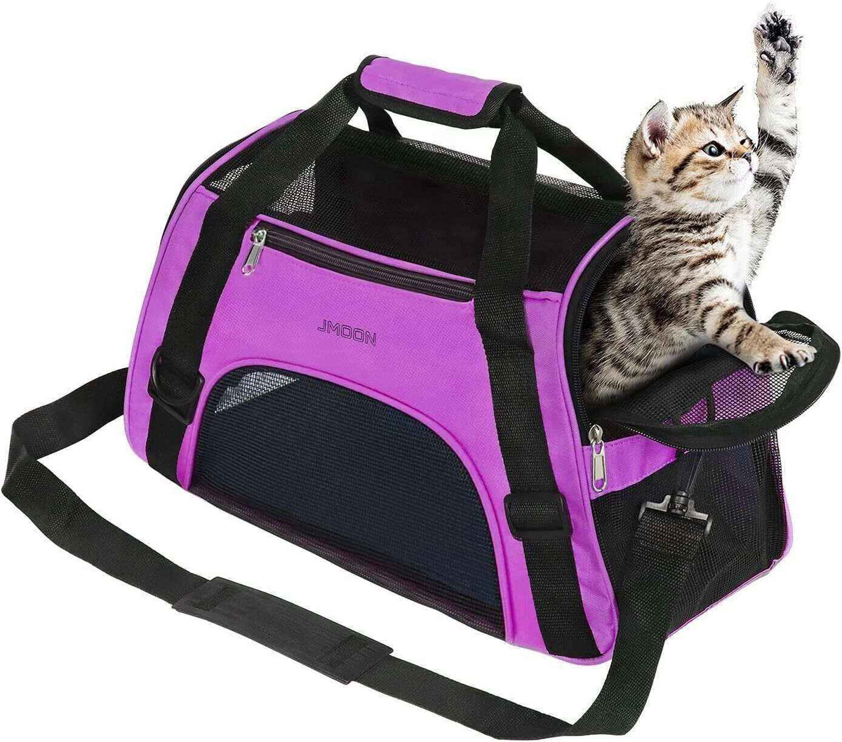 Tabby kitten reaching out from purple and black JMOON pet carrier bag with mesh panels