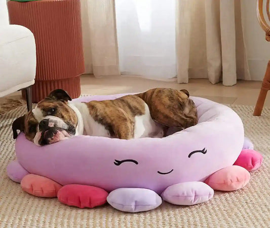 Lettino per Cani Squishmallows | Cuccia Morbida Squalo e Ananas by Dog Moda