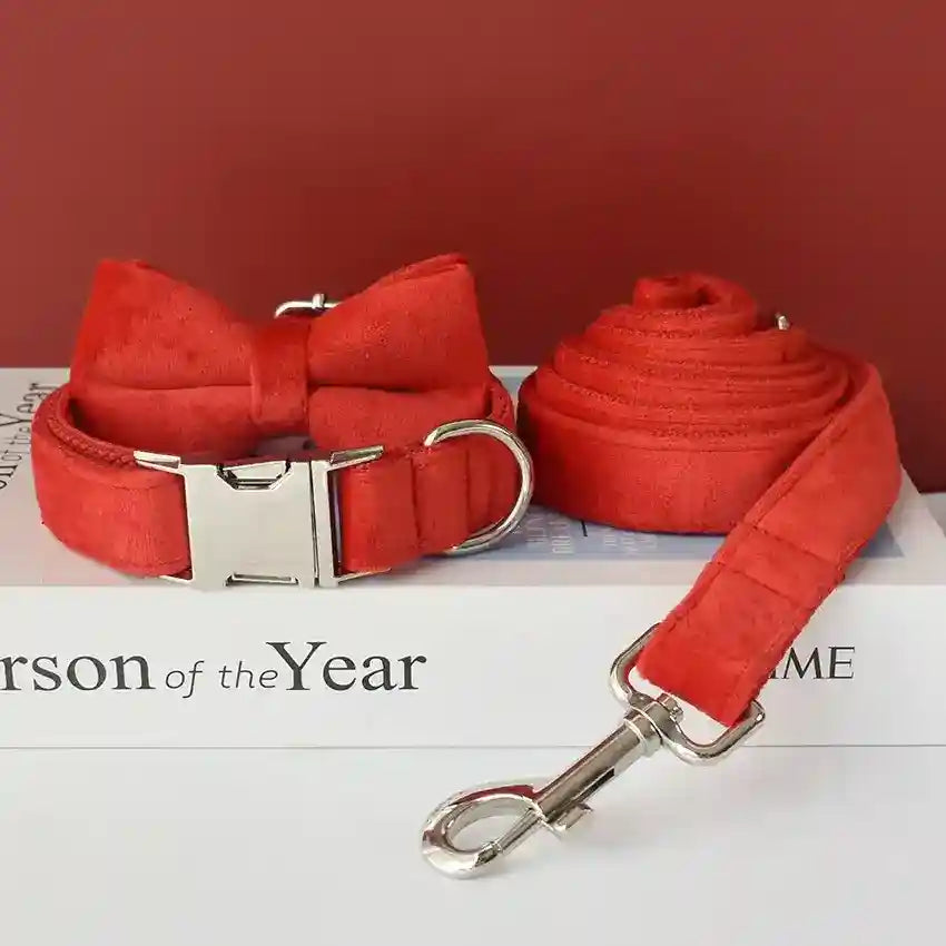 Set Collare e Guinzaglio per Cani in Velluto Rosso - Modello "Bouquet" by Dog Moda