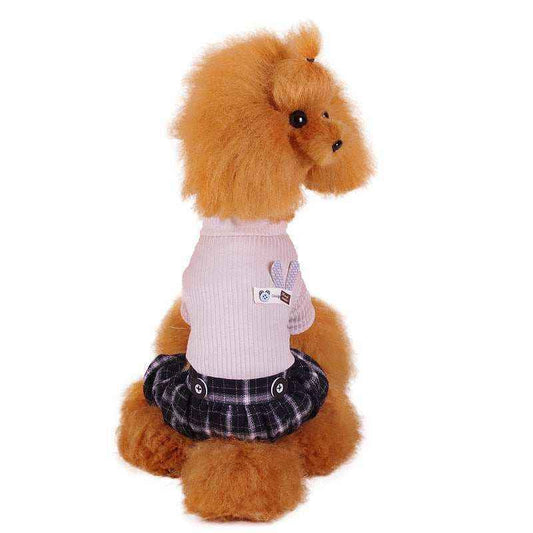 Red toy poodle dressed in pink sweater and black plaid skirt sitting against white background