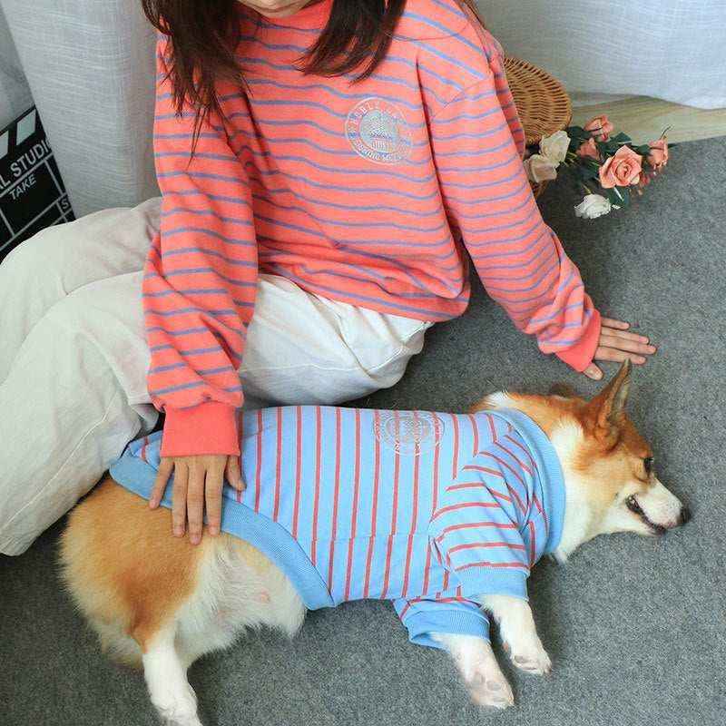 Person in red striped sweater sitting beside a corgi dog wearing a matching blue striped outfit on gray carpet