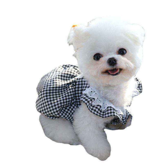 Tutina Estiva Fashion Princess per Cani di Piccola Taglia - Dog Moda